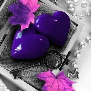 Meet your Posher, Dina